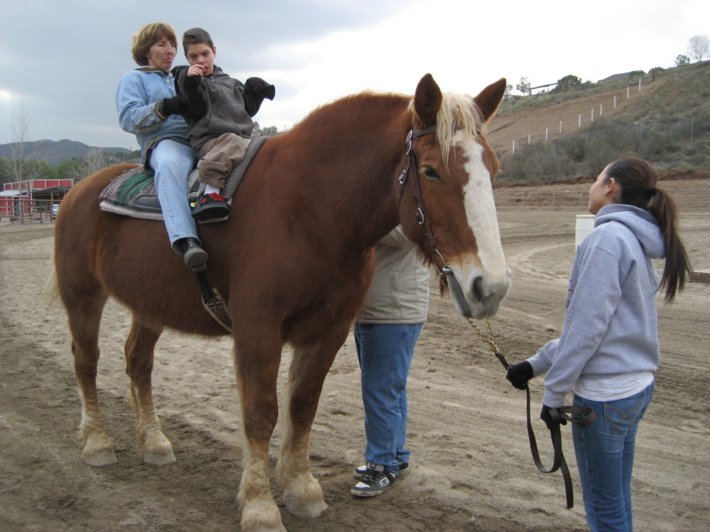 Riding instructor Eileen Johnstone helps Daniel Harvey balance himself on Callie, the brown mare.